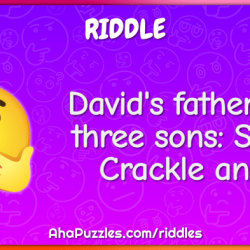 David's father has 3 sons snap crackle and