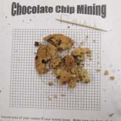 Cookie mining lab apes answers