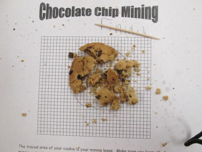 Cookie mining lab apes answers