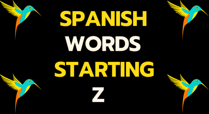 Spanish words that start with w x y z