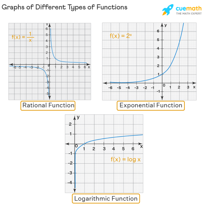 Functions and their graphs chapter 1