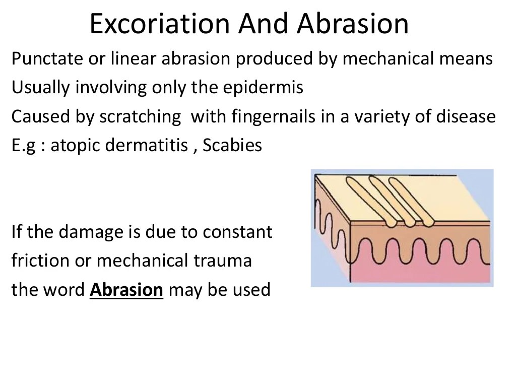 Lesions pustule lesion