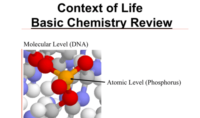 Chapter 2 active reading guide the chemical context of life