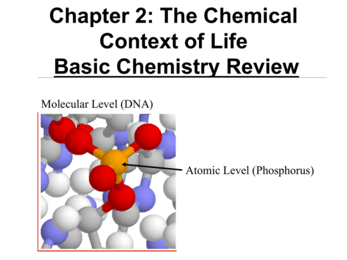 Chapter 2 active reading guide the chemical context of life