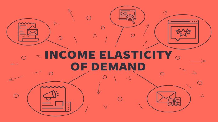 The income elasticity of demand for iphones is