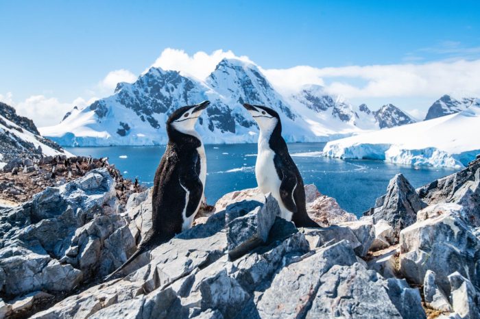 Antarctica visit time when adventures life