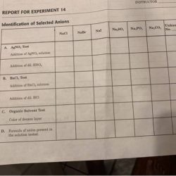 Report for experiment 14 identification of selected anions